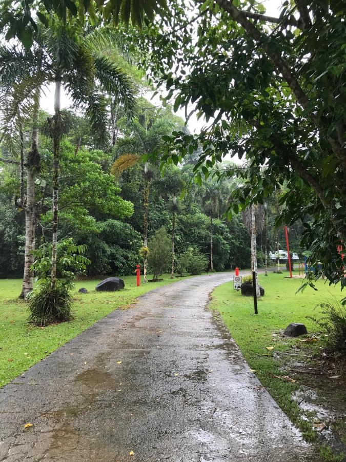 Daintree Siesta *