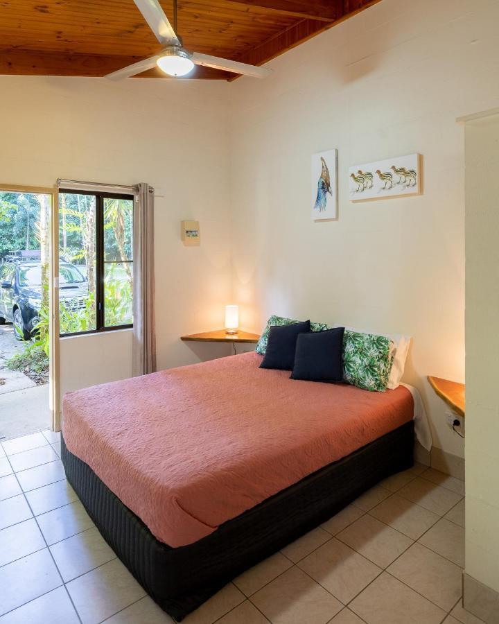 Daintree Siesta Diwan
