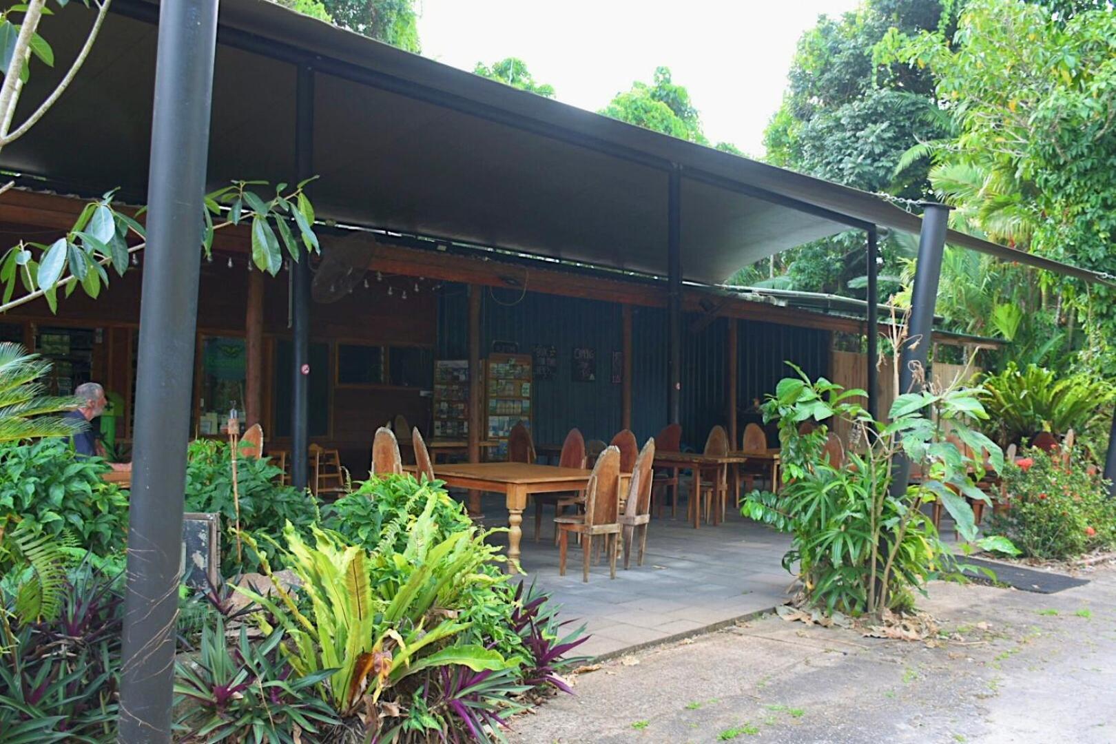 Daintree Siesta