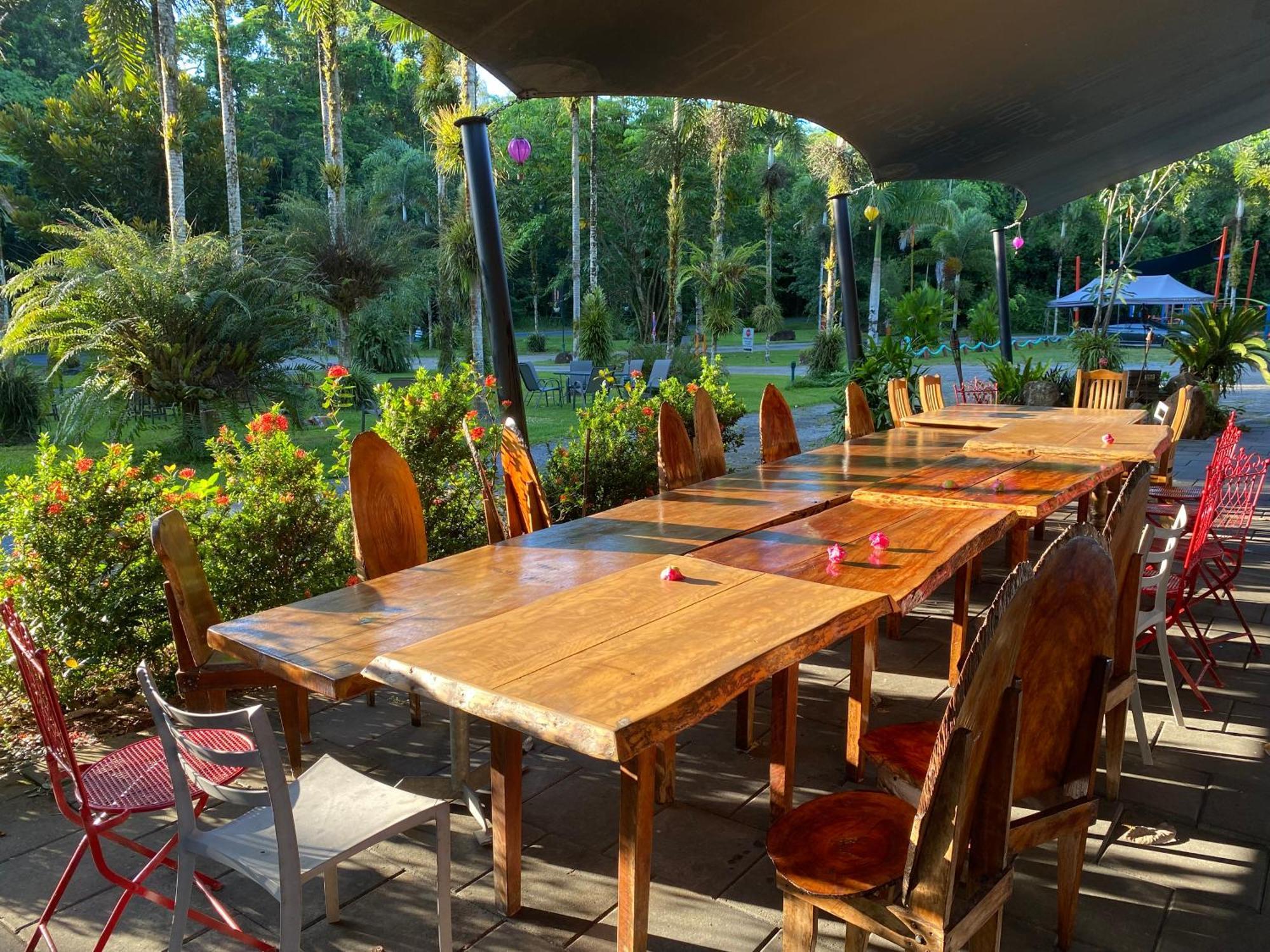 Daintree Siesta Diwan