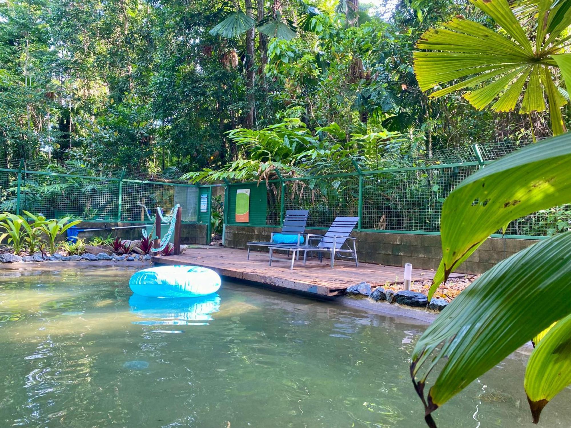 Daintree Siesta *
