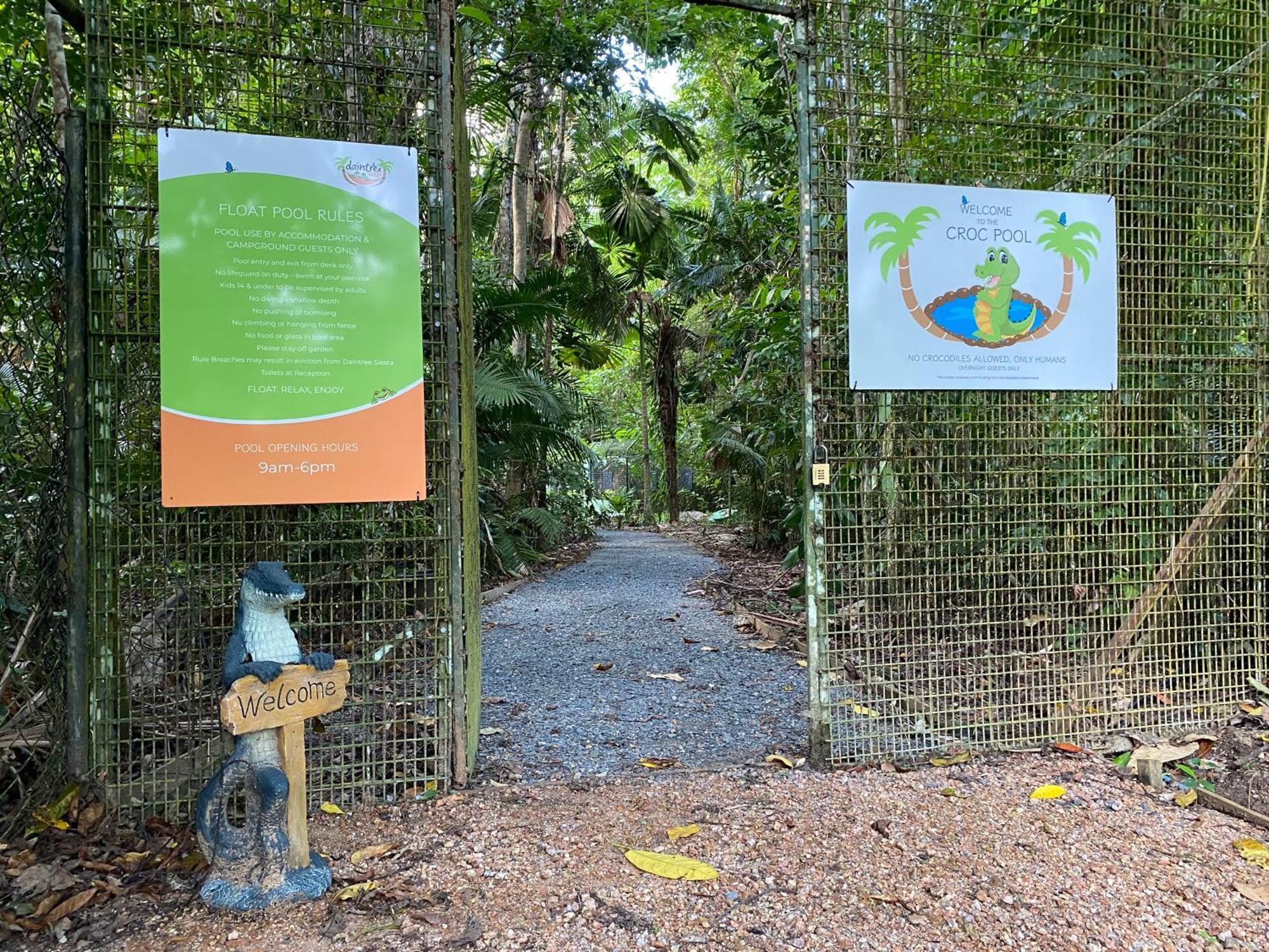 Daintree Siesta Diwan