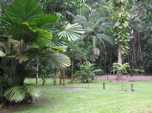 Lodge Daintree Siesta